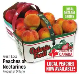 Commisso's Fresh Foods Peaches or Nectarines offer