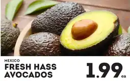 IGA Fresh hass avocados offer
