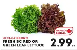 IGA Fresh bc red or green leaf lettuce offer
