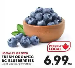 IGA Fresh organic bc blueberries offer