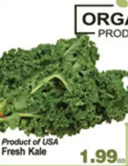 Greco's Fresh Market Product of USA Fresh Kale offer