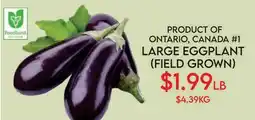 Fiesta Farms PRODUCT OF ONTARIO, CANADA #1 LARGE EGGPLANT (FIELD GROWN) offer
