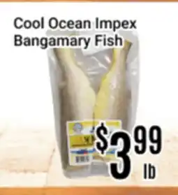 Nations Fresh Foods Cool Ocean Impex Bangamary Fish offer