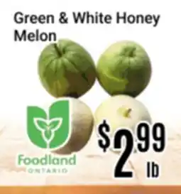 Nations Fresh Foods Green & White Honey Melon offer
