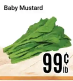 Nations Fresh Foods Baby Mustard offer