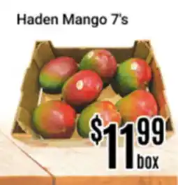 Nations Fresh Foods Haden Mango 7's offer