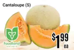 Nations Fresh Foods Cantaloupe (S) offer
