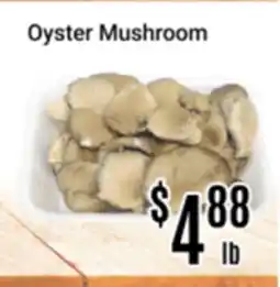 Nations Fresh Foods Oyster Mushroom offer