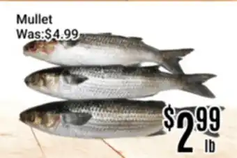 Nations Fresh Foods Mullet offer