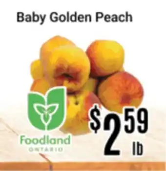 Nations Fresh Foods Baby Golden Peach offer