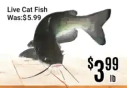 Nations Fresh Foods Live Cat Fish offer