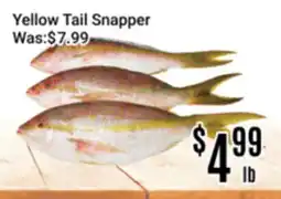 Nations Fresh Foods Yellow Tail Snapper offer