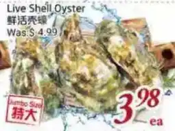 Tone Tai Supermarket Live Shell Oyster offer
