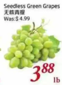Tone Tai Supermarket Seedless Green Grapes offer