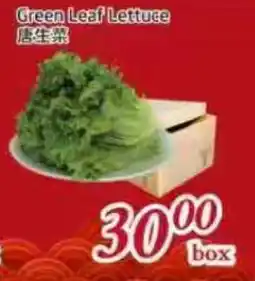 Tone Tai Supermarket Green Leaf Lettuce offer
