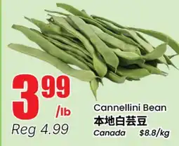 Terra Foodmart Cannellini Bean offer