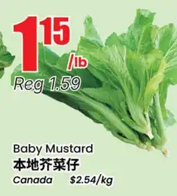 Terra Foodmart Baby Mustard offer