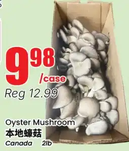 Terra Foodmart Oyster Mushroom offer