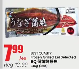 Terra Foodmart BEST QUALITY Frozen Grilled Eel Selected offer