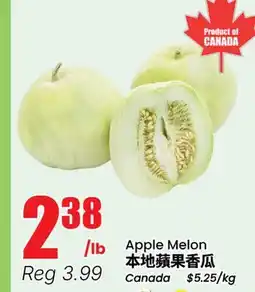 Terra Foodmart Apple Melon offer