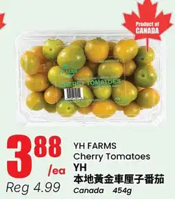 Terra Foodmart YH FARMS Cherry Tomatoes offer