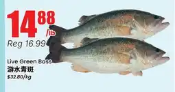 Terra Foodmart Live Green Bass offer