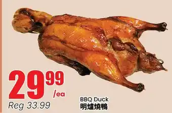 Terra Foodmart BBQ Duck offer