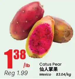 Terra Foodmart Cactus Pear offer