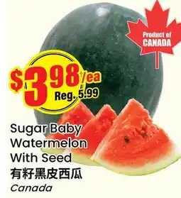 Terra Foodmart Sugar Baby Watermelon With Seed offer