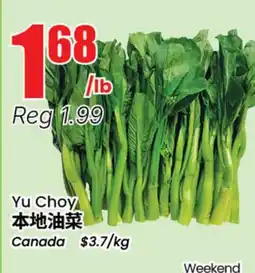 Terra Foodmart Yu Choy offer