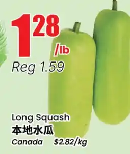 Terra Foodmart Long Squash offer