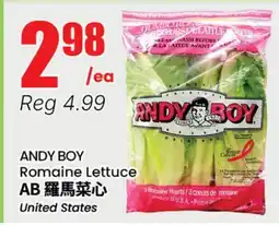 Terra Foodmart ANDY BOY Romaine Lettuce offer