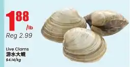 Terra Foodmart Live Clams offer