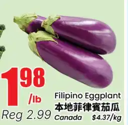 Terra Foodmart Filipino Eggplant offer