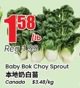 Terra Foodmart Baby Bok Choy Sprout offer