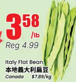 Terra Foodmart Italy Flat Bean offer