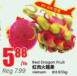 Terra Foodmart Red Dragon Fruit offer