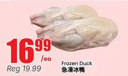 Terra Foodmart Frozen Duck offer