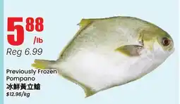 Terra Foodmart Previously Frozen Pompano offer