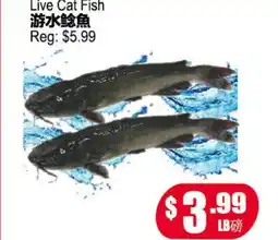 Yuan Ming Supermarket Live Cat Fish offer