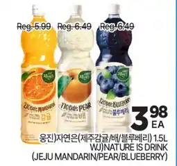 H-Mart WJ NATURE IS DRINK offer