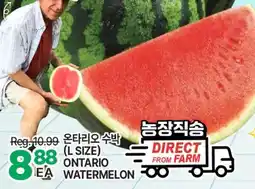 H-Mart ONTARIO WATERMELON offer