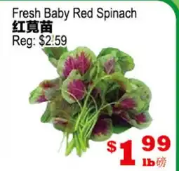 Yuan Ming Supermarket Fresh Baby Red Spinach offer