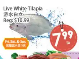 Fresh Palace Supermarket Live White Tilapia offer