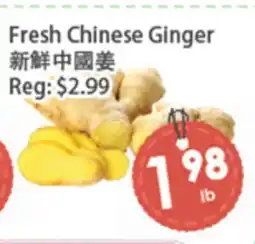 Fresh Palace Supermarket Fresh Chinese Ginger offer