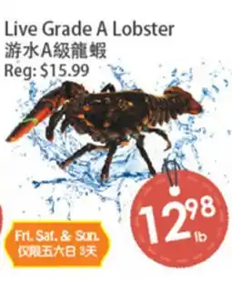 Fresh Palace Supermarket Live Grade A Lobster offer