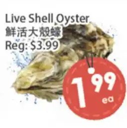 Fresh Palace Supermarket Live Shell Oyster offer
