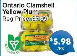 Blue Sky Supermarket Ontario Clamshell Yellow Plum offer