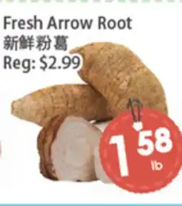 Fresh Palace Supermarket Fresh Arrow Root offer