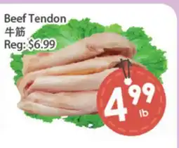 Fresh Palace Supermarket Beef Tendon offer